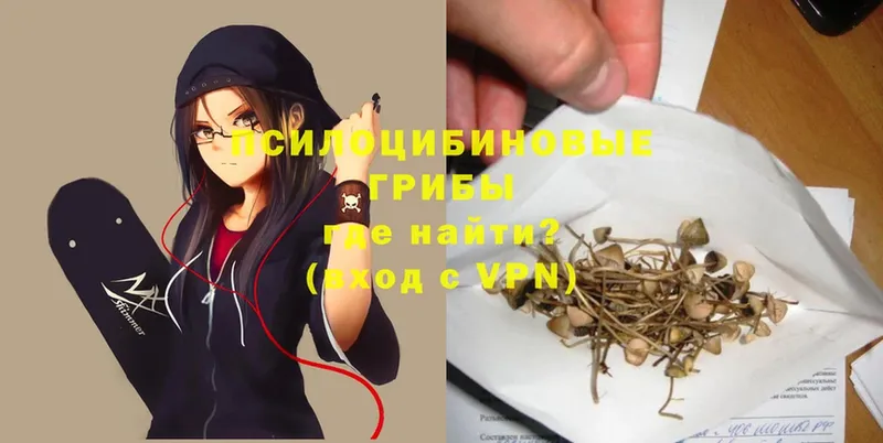 Галлюциногенные грибы Psilocybe  Енисейск 